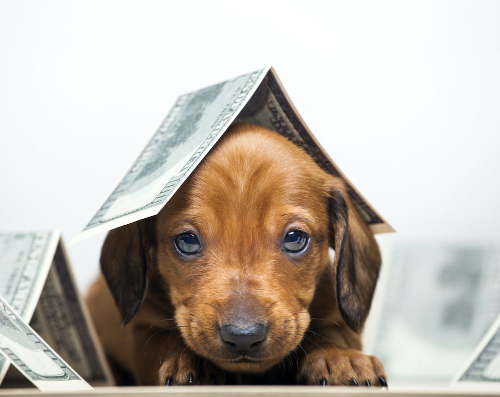 What It's All About?